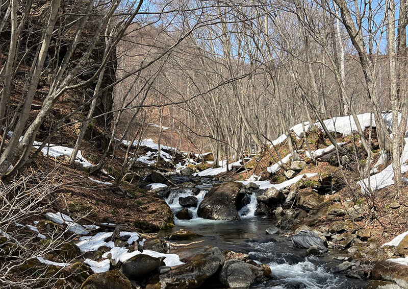 雪の残る薄根川のせせらぎ